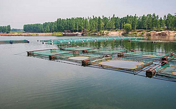 地方水产养殖业污染控制标准制订技术指南（征求意见稿）